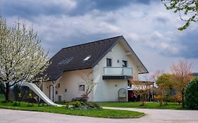 Guest House Toman